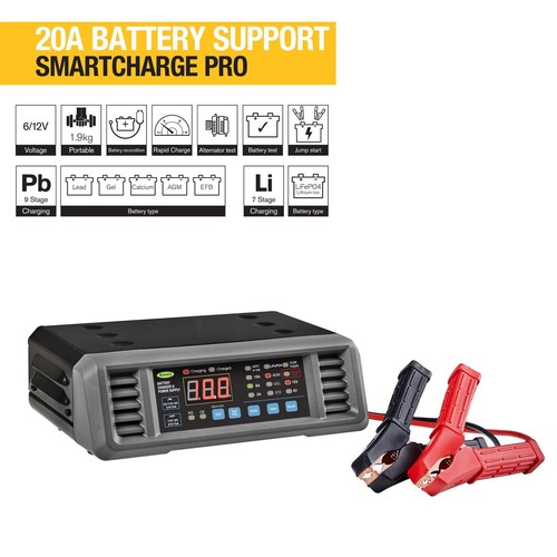 Ring pro 20a - 20a, battery
